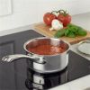 1qt Stainless Steel Saucepan with Cover